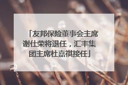 友邦保险董事会主席谢仕荣将退任，汇丰集团主席杜嘉祺接任