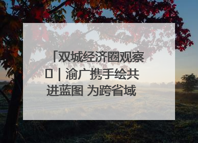 双城经济圈观察㊺｜渝广携手绘共进蓝图 为跨省域都市圈发展破题