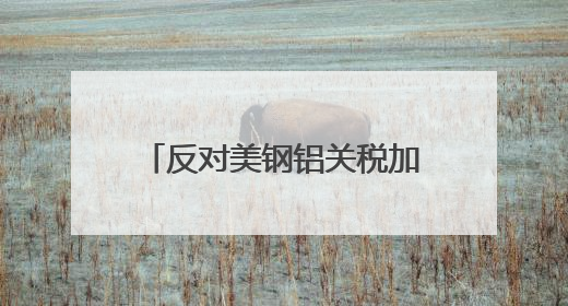 反对美钢铝关税加倍 加拿大、墨西哥、欧盟反应来了