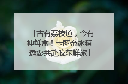 古有荔枝道，今有神鲜盒！卡萨帝冰箱邀您共赴胶东鲜旅