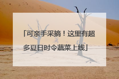 可亲手采摘！这里有超多夏日时令蔬菜上线