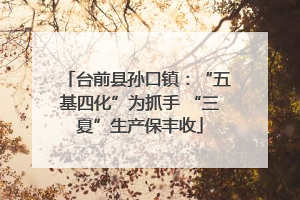 台前县孙口镇：“五基四化”为抓手 “三夏”生产保丰收