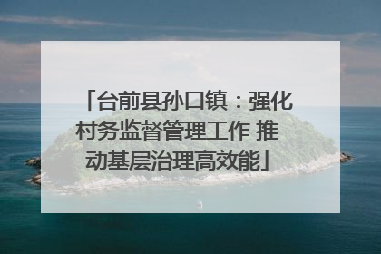 台前县孙口镇：强化村务监督管理工作 推动基层治理高效能