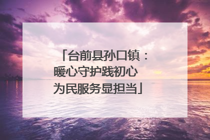 台前县孙口镇：暖心守护践初心 为民服务显担当