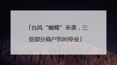 台风“蝴蝶”来袭，三亚部分商户暂时停业