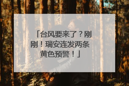 台风要来了？刚刚！瑞安连发两条黄色预警！
