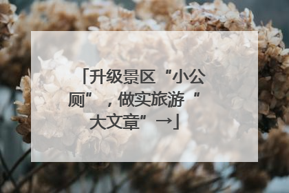升级景区“小公厕”，做实旅游“大文章”→