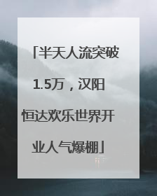 半天人流突破1.5万，汉阳恒达欢乐世界开业人气爆棚