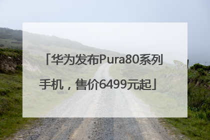 华为发布Pura80系列手机，售价6499元起