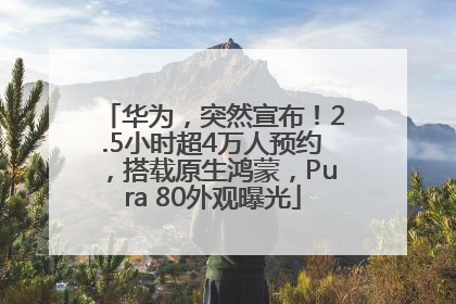 华为，突然宣布！2.5小时超4万人预约，搭载原生鸿蒙，Pura 80外观曝光
