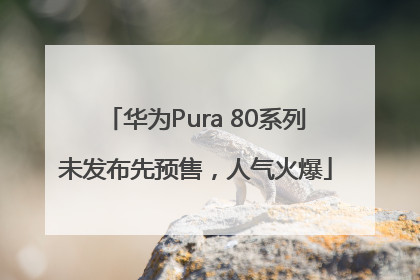 华为Pura 80系列未发布先预售，人气火爆