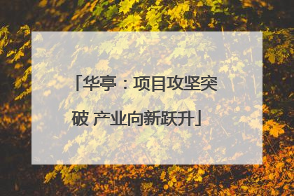 华亭：项目攻坚突破 产业向新跃升