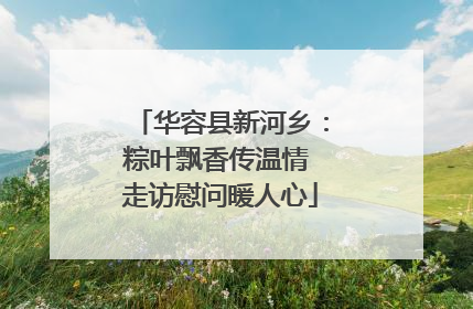 华容县新河乡：粽叶飘香传温情 走访慰问暖人心