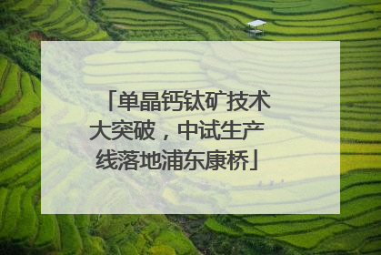 单晶钙钛矿技术大突破，中试生产线落地浦东康桥