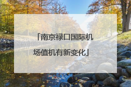 南京禄口国际机场值机有新变化