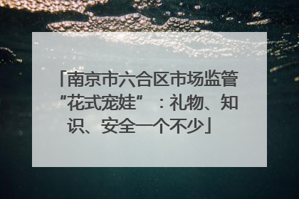 南京市六合区市场监管“花式宠娃”：礼物、知识、安全一个不少