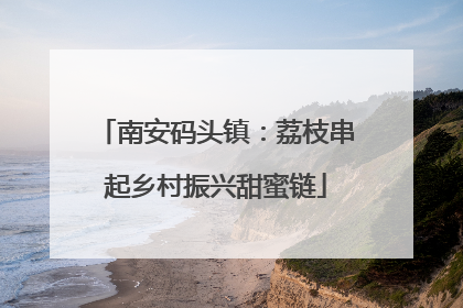 南安码头镇：荔枝串起乡村振兴甜蜜链