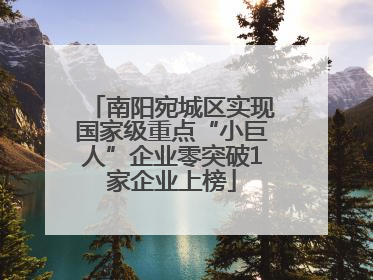 南阳宛城区实现国家级重点“小巨人”企业零突破1家企业上榜