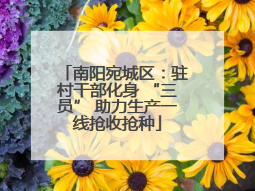 南阳宛城区：驻村干部化身 “三员” 助力生产一线抢收抢种