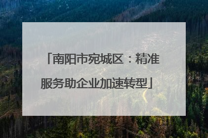 南阳市宛城区：精准服务助企业加速转型