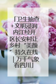 卫生抽查+文明浸润 内江经开区长安村让乡村“美颜”持久在线｜万千气象看四川