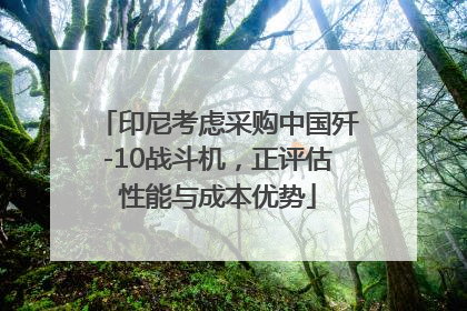 印尼考虑采购中国歼-10战斗机，正评估性能与成本优势