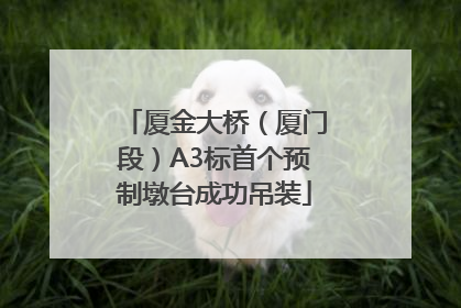 厦金大桥（厦门段）A3标首个预制墩台成功吊装