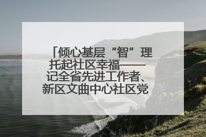 倾心基层“智”理 托起社区幸福——记全省先进工作者、新区文曲中心社区党委书记董世弘