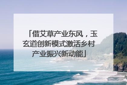 借艾草产业东风，玉玄道创新模式激活乡村产业振兴新动能