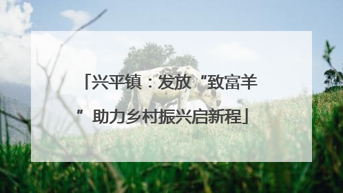 兴平镇：发放“致富羊”助力乡村振兴启新程