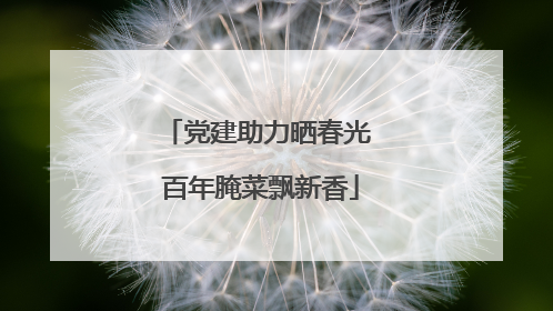 党建助力晒春光 百年腌菜飘新香