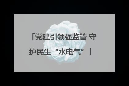 党建引领强监管 守护民生“水电气”