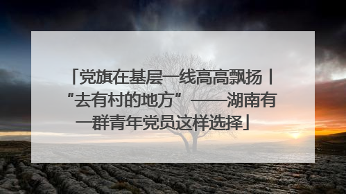 党旗在基层一线高高飘扬丨“去有村的地方”——湖南有一群青年党员这样选择