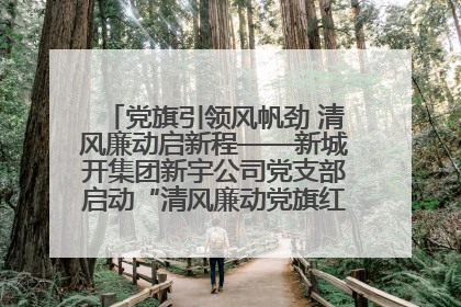 党旗引领风帆劲 清风廉动启新程——新城开集团新宇公司党支部启动“清风廉动党旗红”系列活动