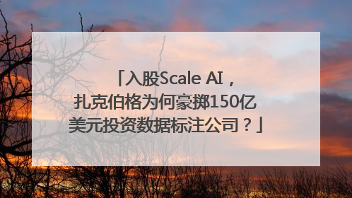入股Scale AI，扎克伯格为何豪掷150亿美元投资数据标注公司？