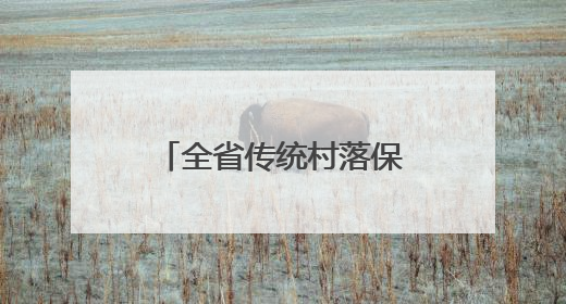 全省传统村落保护利用工作现场推进会在松阳召开