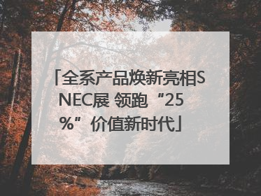 全系产品焕新亮相SNEC展 领跑“25%”价值新时代