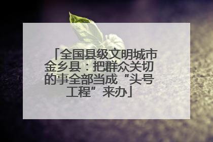 全国县级文明城市金乡县：把群众关切的事全部当成“头号工程”来办