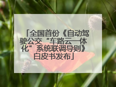 全国首份《自动驾驶公交“车路云一体化”系统联调导则》白皮书发布