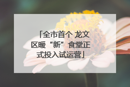 全市首个 龙文区暖“新”食堂正式投入试运营