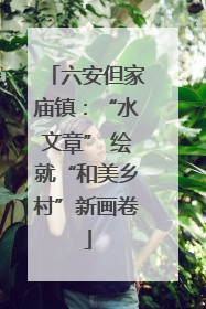 六安但家庙镇：“水文章” 绘就“和美乡村”新画卷