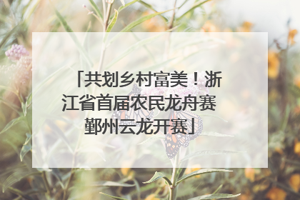共划乡村富美！浙江省首届农民龙舟赛鄞州云龙开赛