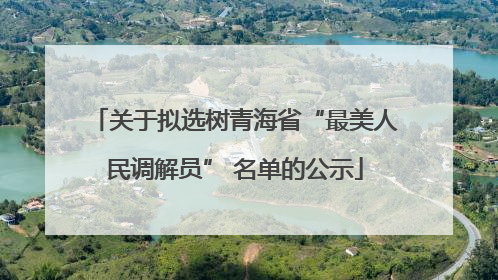 关于拟选树青海省“最美人民调解员” 名单的公示