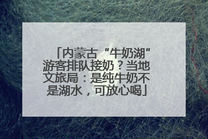 内蒙古“牛奶湖”游客排队接奶？当地文旅局：是纯牛奶不是湖水，可放心喝