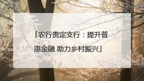 农行贵定支行：提升普惠金融 助力乡村振兴