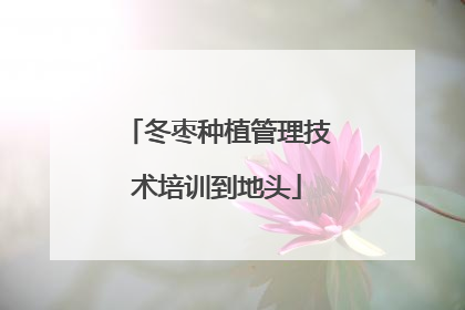 冬枣种植管理技术培训到地头