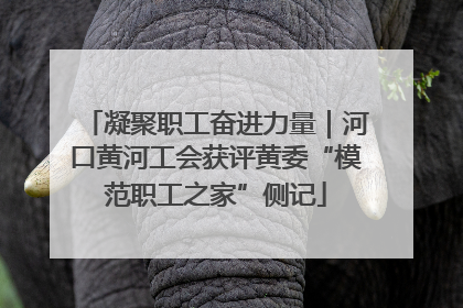 凝聚职工奋进力量｜河口黄河工会获评黄委“模范职工之家”侧记