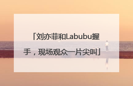 刘亦菲和Labubu握手，现场观众一片尖叫