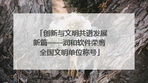 创新与文明共谱发展新篇——润和软件荣膺全国文明单位称号