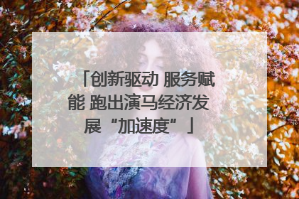 创新驱动 服务赋能 跑出演马经济发展“加速度”